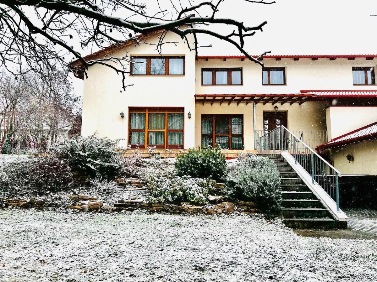 Villa Szofia Veszprem Apartments Bagian luar foto